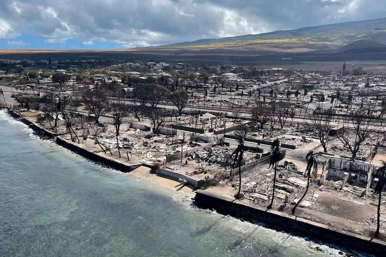 Kan ta flere måneder før brannrammede Maui er trygt igjen