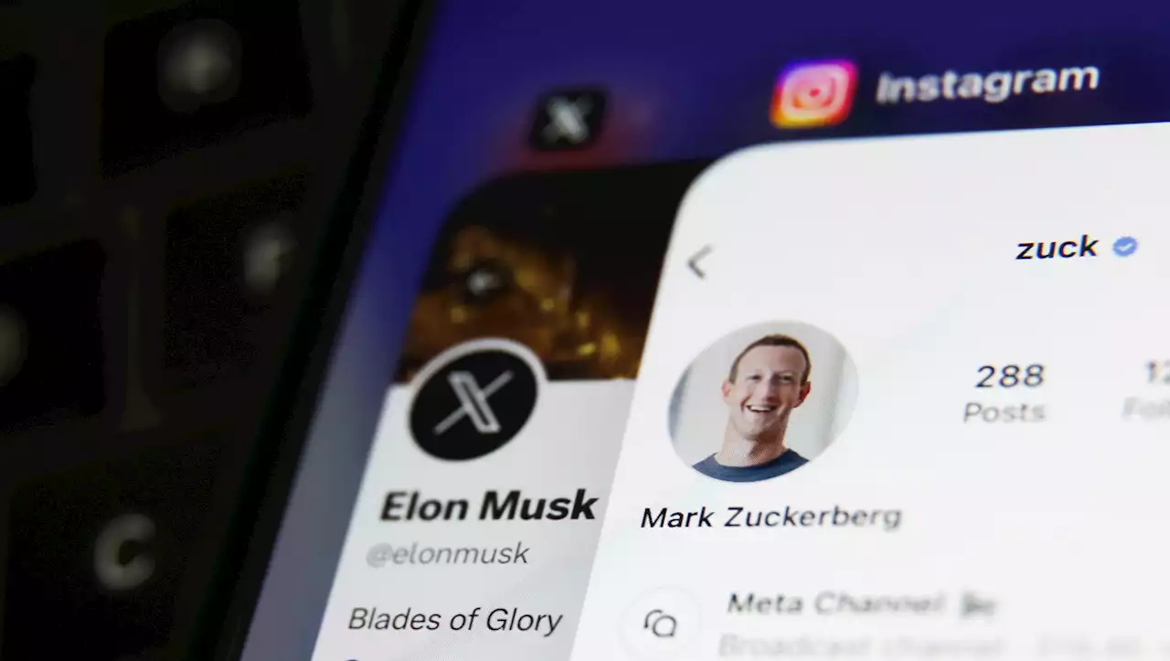 The Elon Musk vs. Mark Zuckerberg Cage Match Is Not Happening