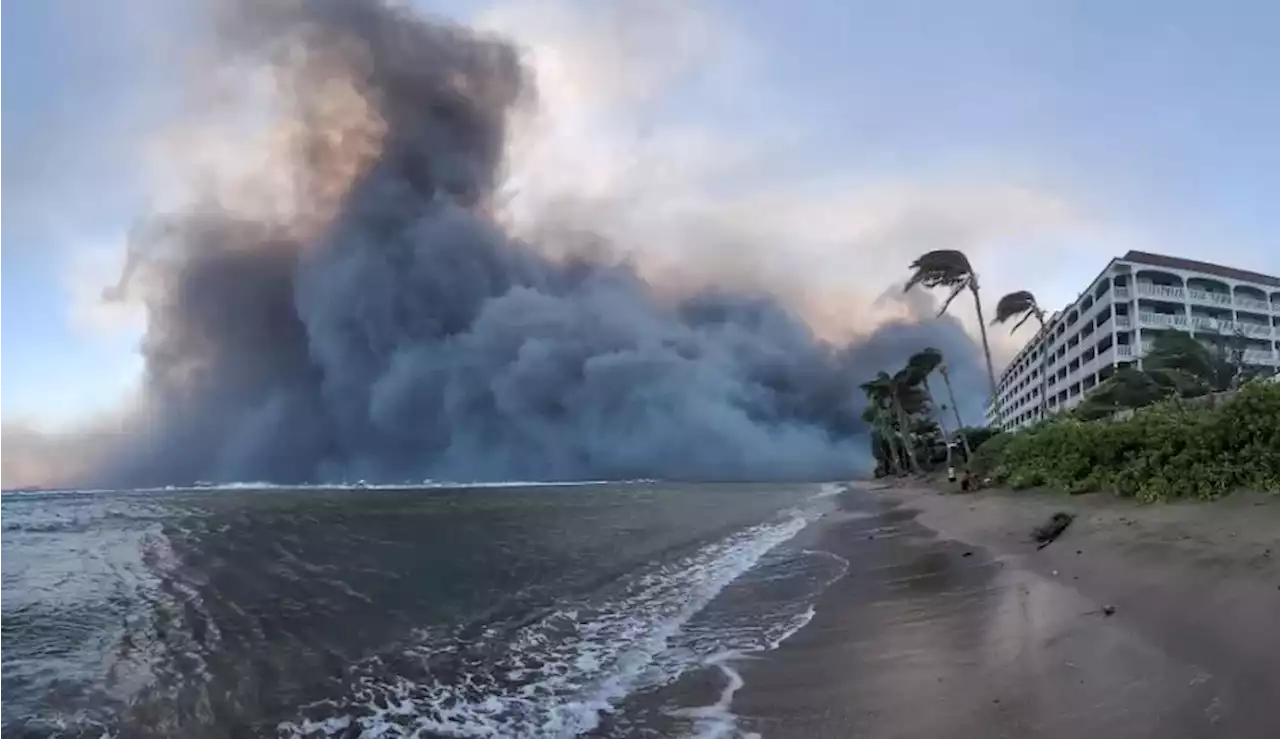 When a 'fire hurricane' hit, Maui's warning sirens never sounded