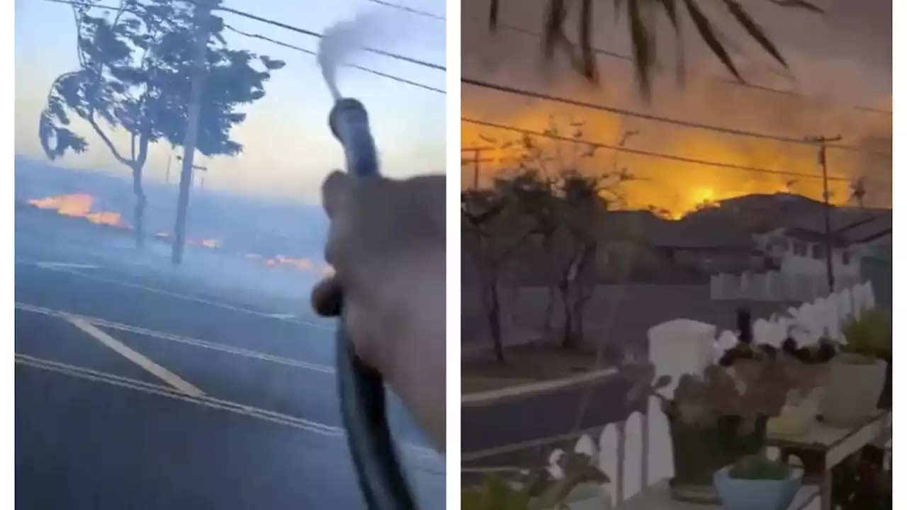 Videos put scrutiny on downed power lines as possible cause of deadly Maui wildfires