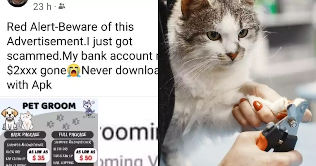 'My phone suddenly switched off': Man loses over $2,600 after downloading app for pet grooming service