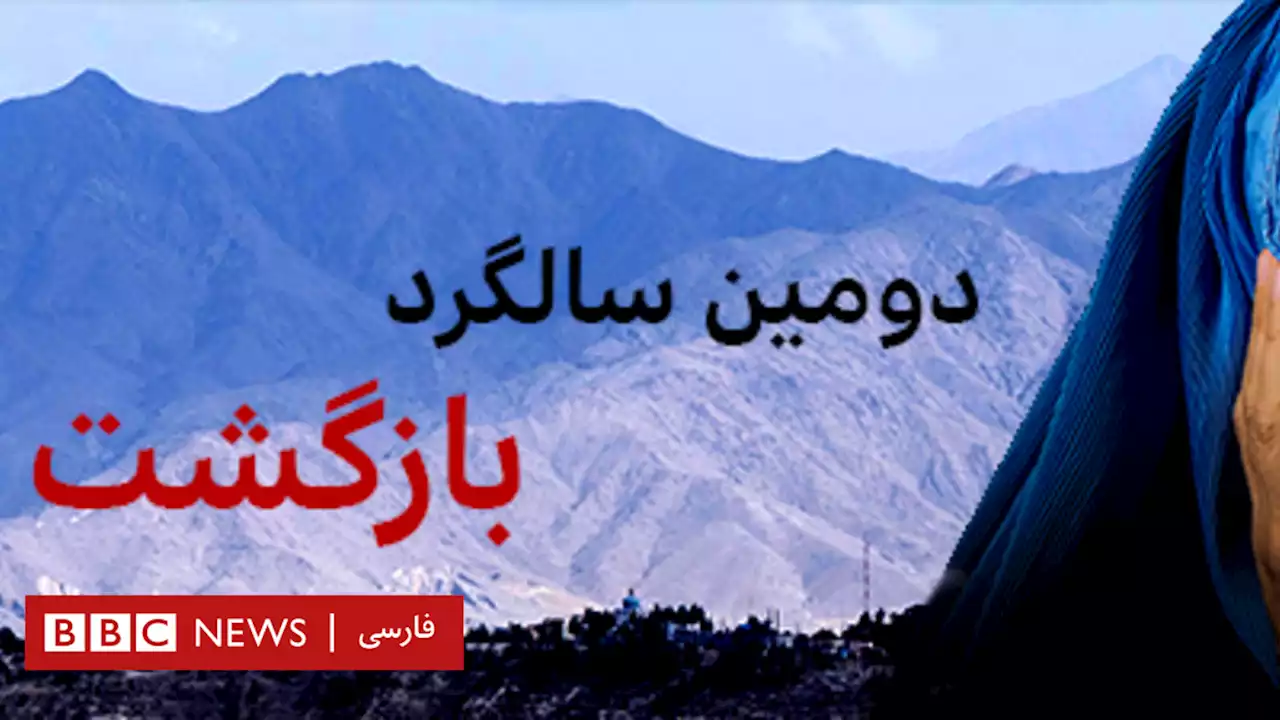 دومین سالگرد بازگشت طالبان؛ «با برگشت طالبان به جای تدریس در دانشگاه، دامداری می‌کنم»