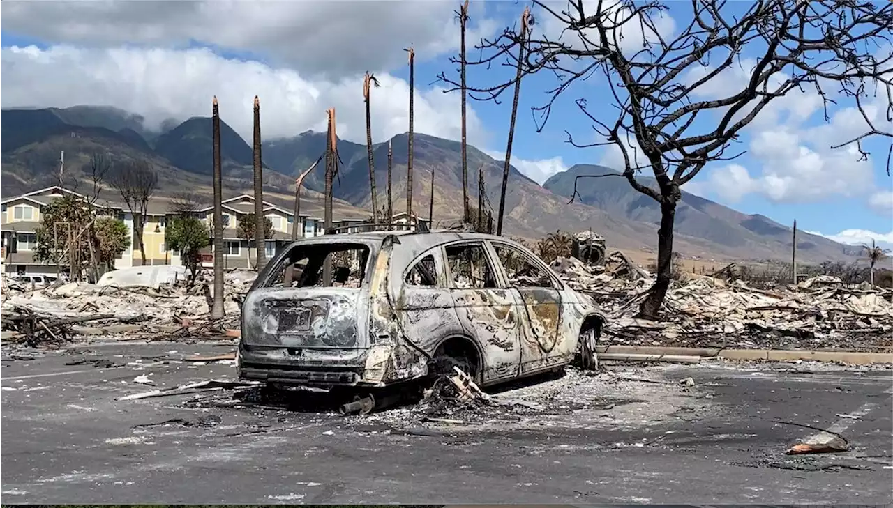 Zahl der Toten auf Maui steigt auf mehr als 100