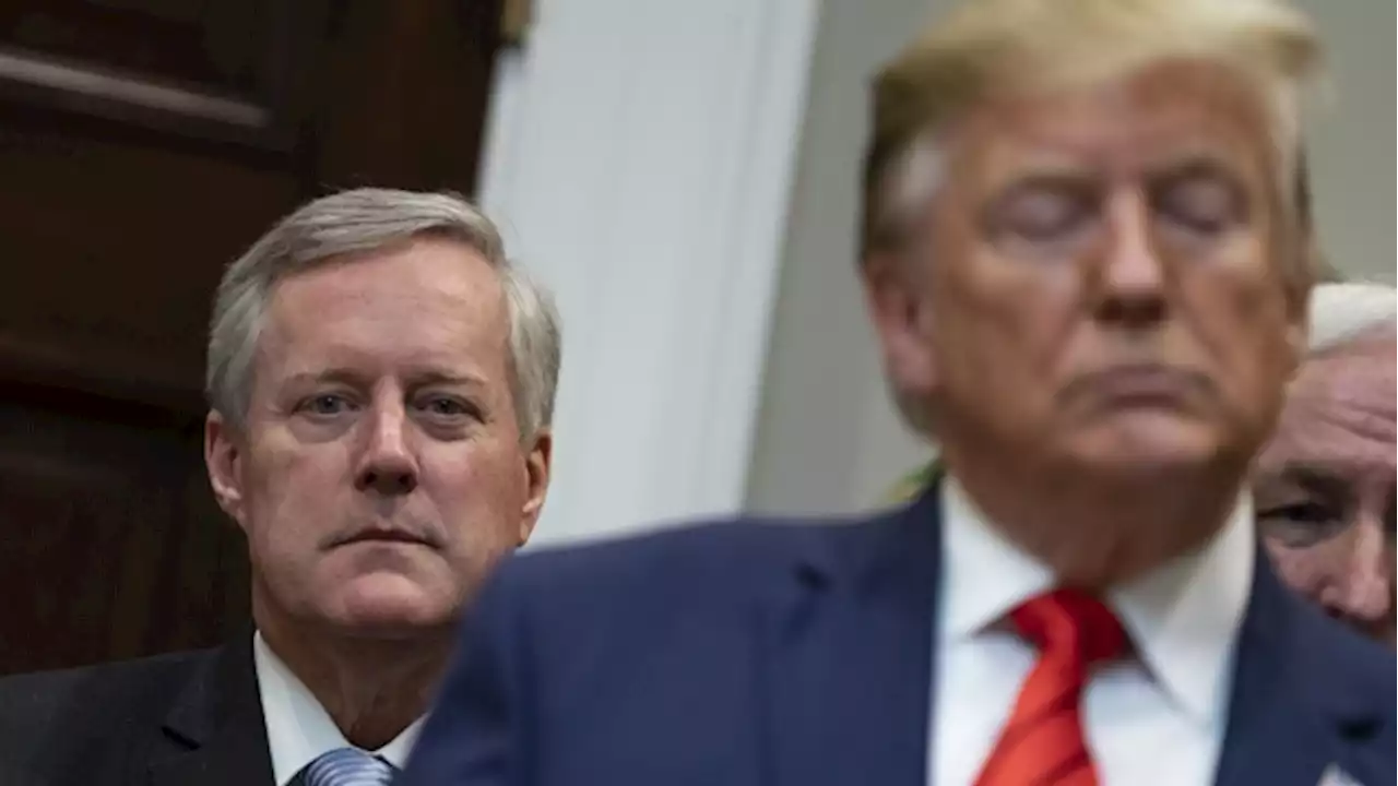 Trump Ally Meadows Seeks to Move Georgia Conspiracy Case to Federal Court