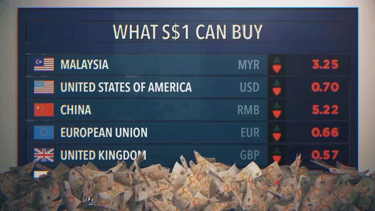 Singapore Reserves Revealed - Singapore Reserves: The Untold Story Part 1