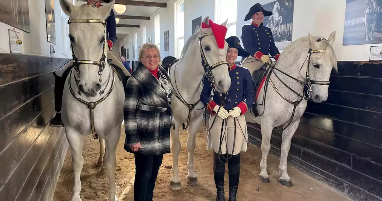 Area dance designer finds good fit with Tempel Lipizzans