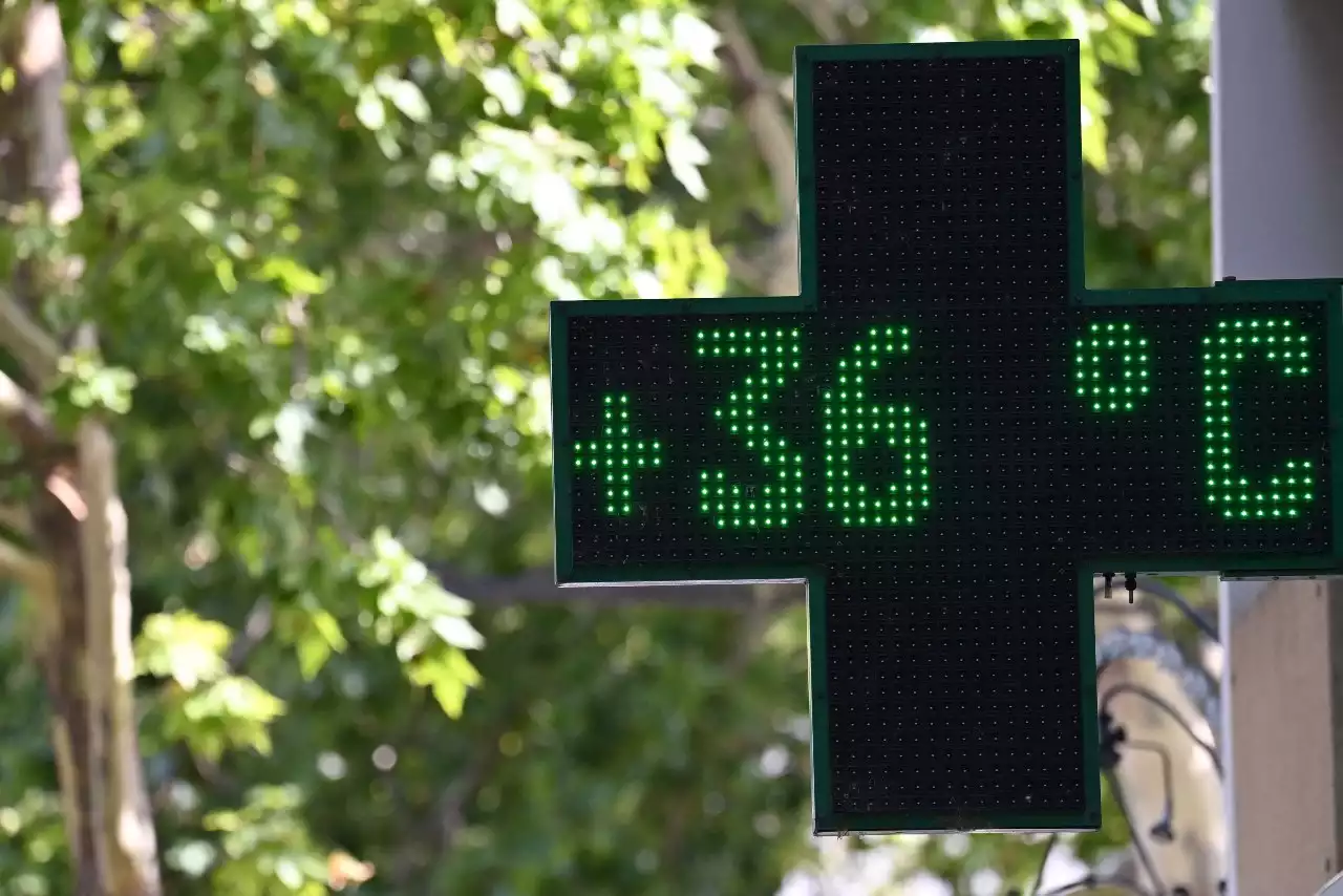 Canicule : des records de chaleur attendus en France dans les prochains jours