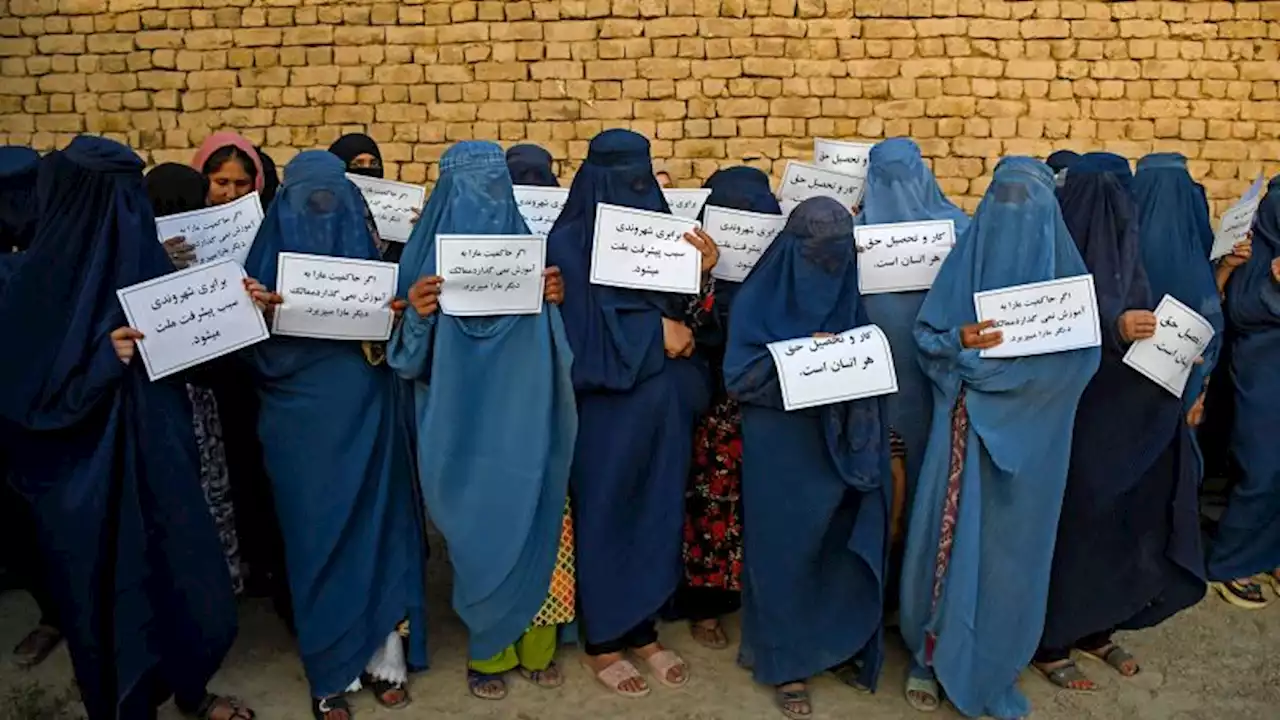 Two years on from Taliban takeover, Afghan women are being 'erased from everything'