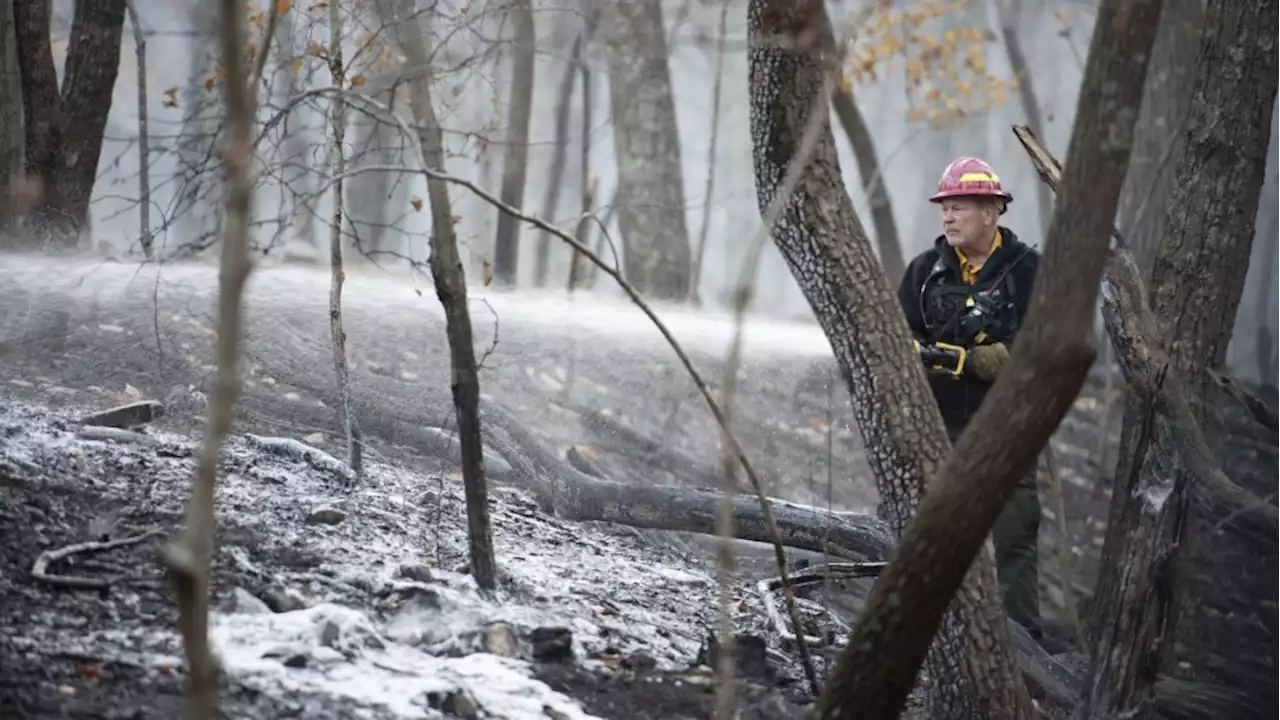 Evacuations ordered as Northern California fire roars through forest near site of 2022 deadly blaze