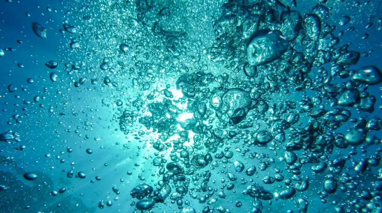 Federal grants will replace tunnels beneath roads that let water pass but not fish - constructconnect.com