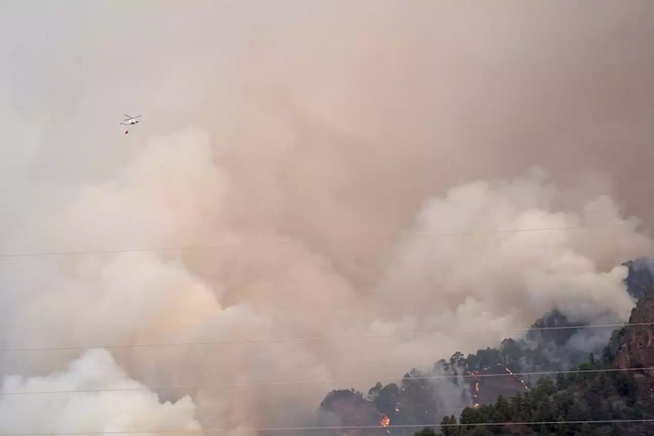 La orografía dificulta la extinción del incendio forestal de Tenerife