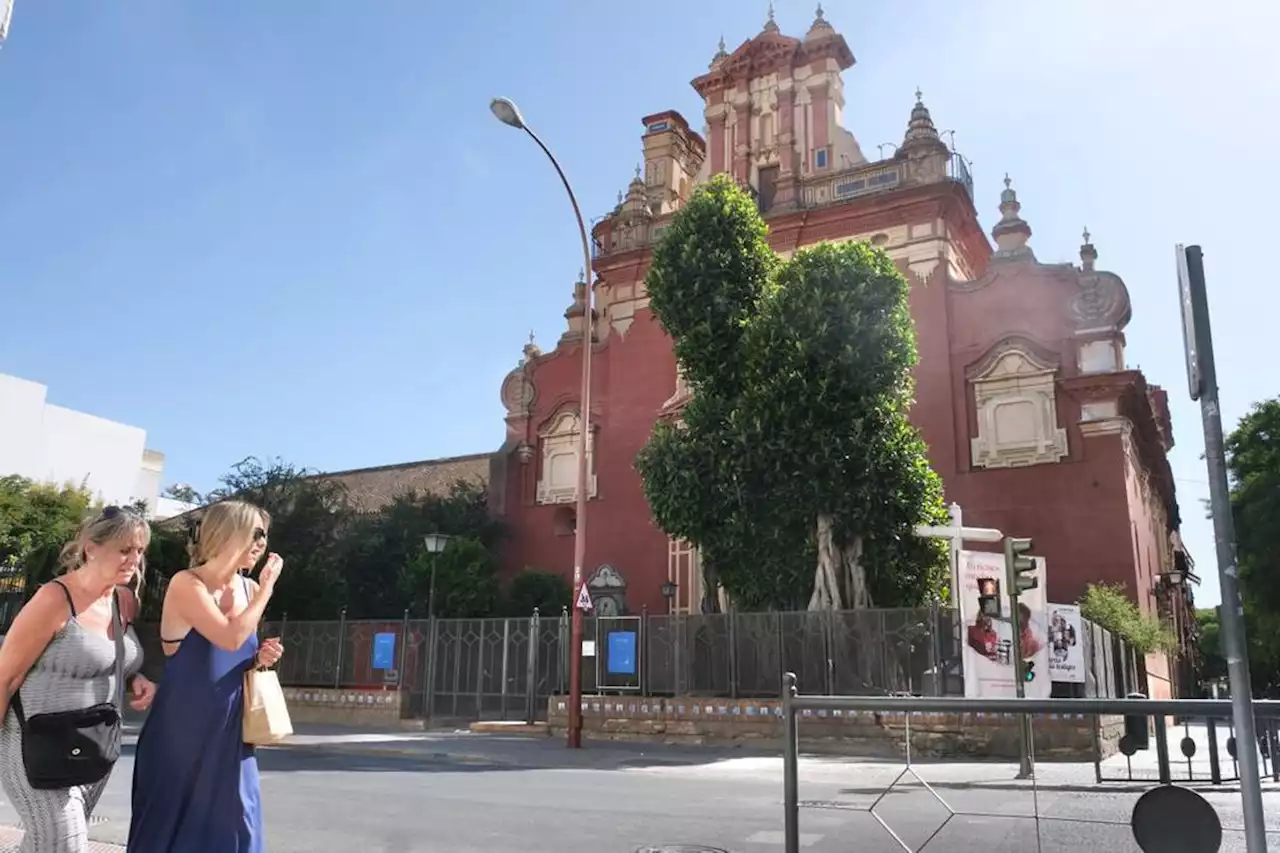 El Ayuntamiento de Sevilla se encargará del mantenimiento del ficus de San Jacinto cuya tala autorizó hace un año