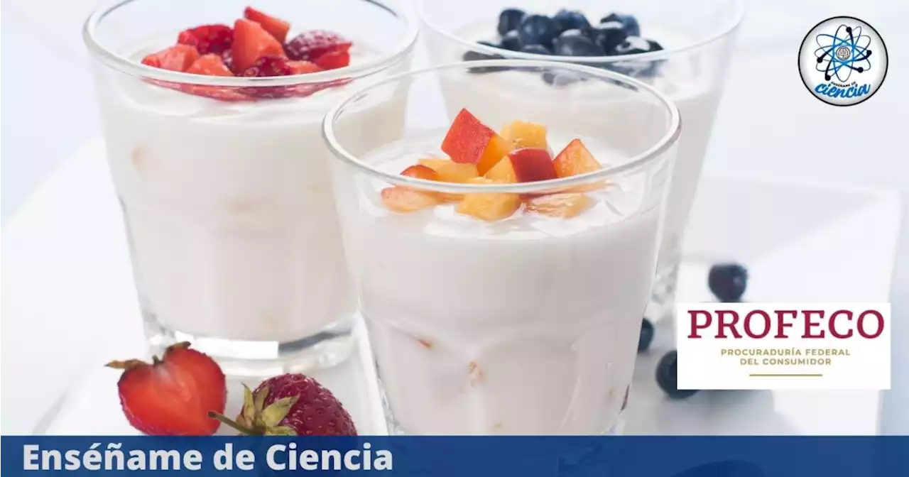 ¿Antojo de un buen yogurt? Estas son las mejores marcas en México, según la PROFECO