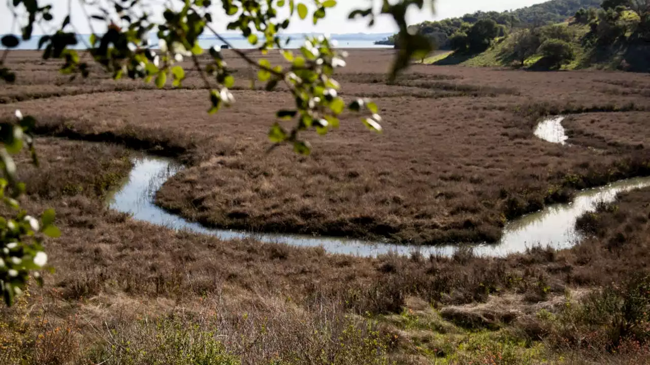 EPA investigating how California manages its water following complaints from tribes