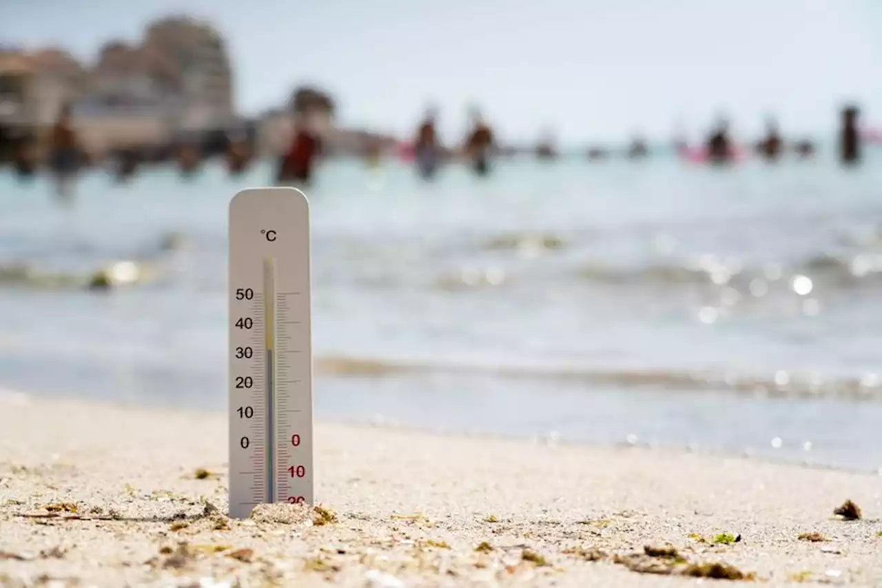 Canicule tardive : 3 questions sur ce phénomène 'quasi inédit' annoncé en fin de semaine dans le Sud-Est