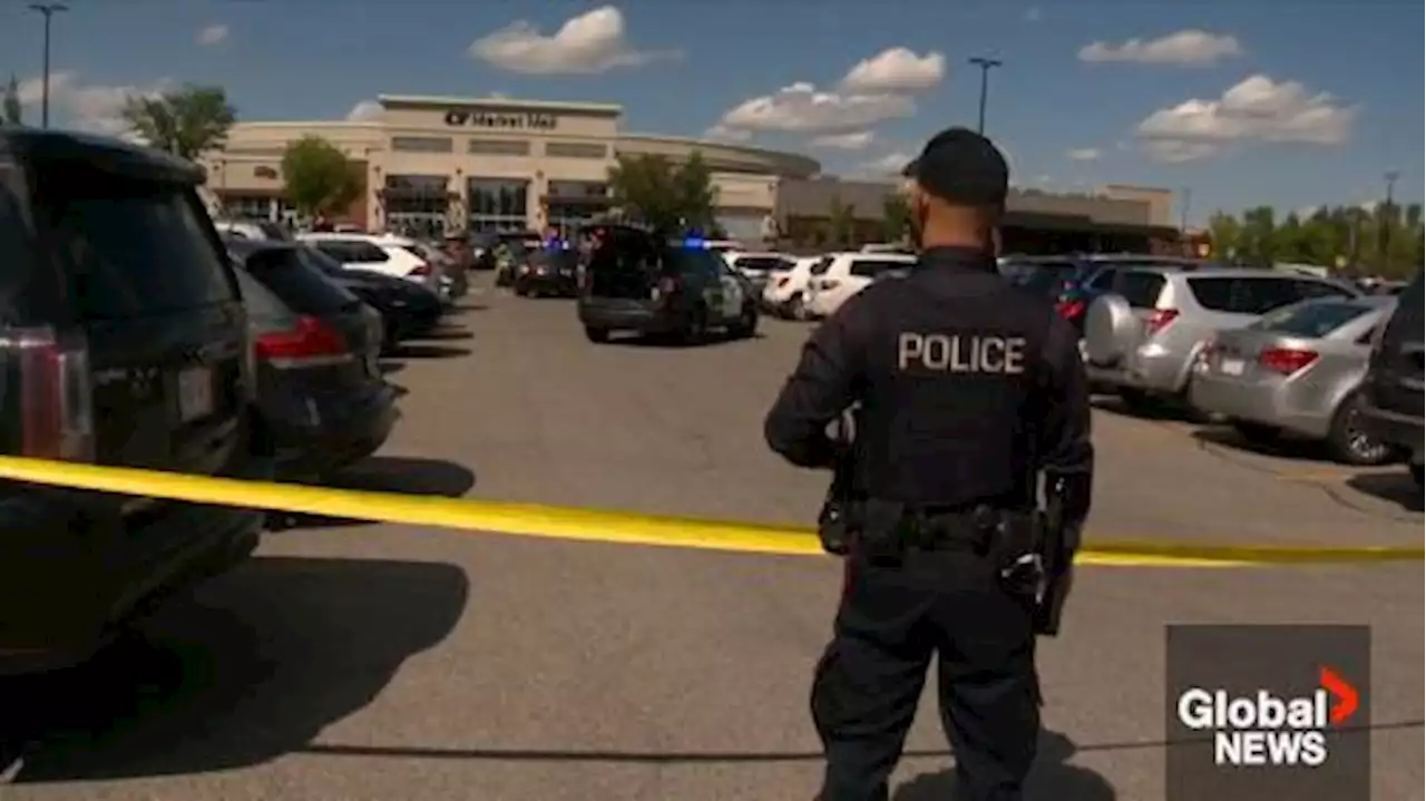 Recent Calgary shootings have hallmarks of organized crime: Criminal justice professor