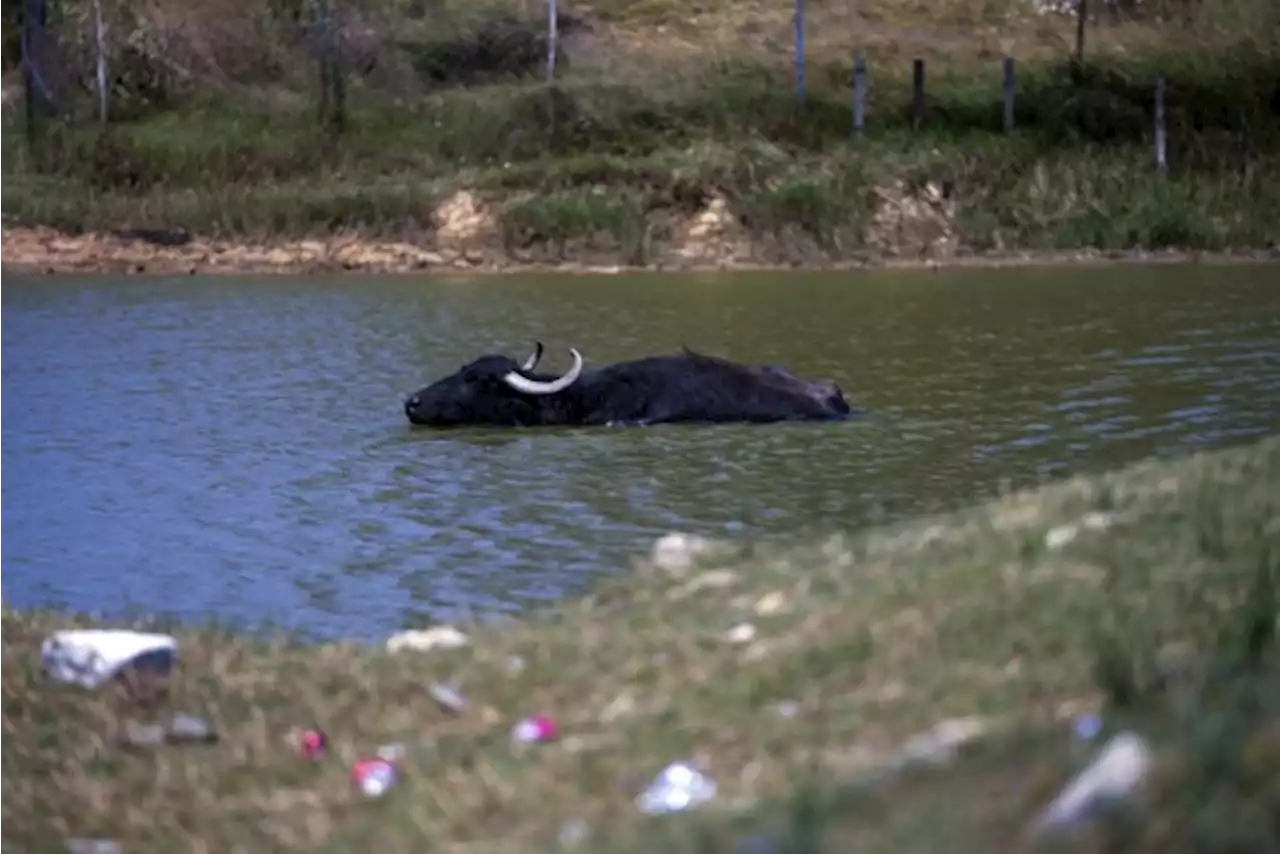 Turkije registreert recordtemperatuur van 49,5 graden