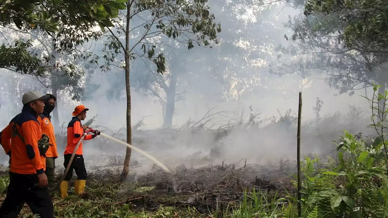 Haze, West Kalimantan Requests BNPB Assistance for Weather Modification