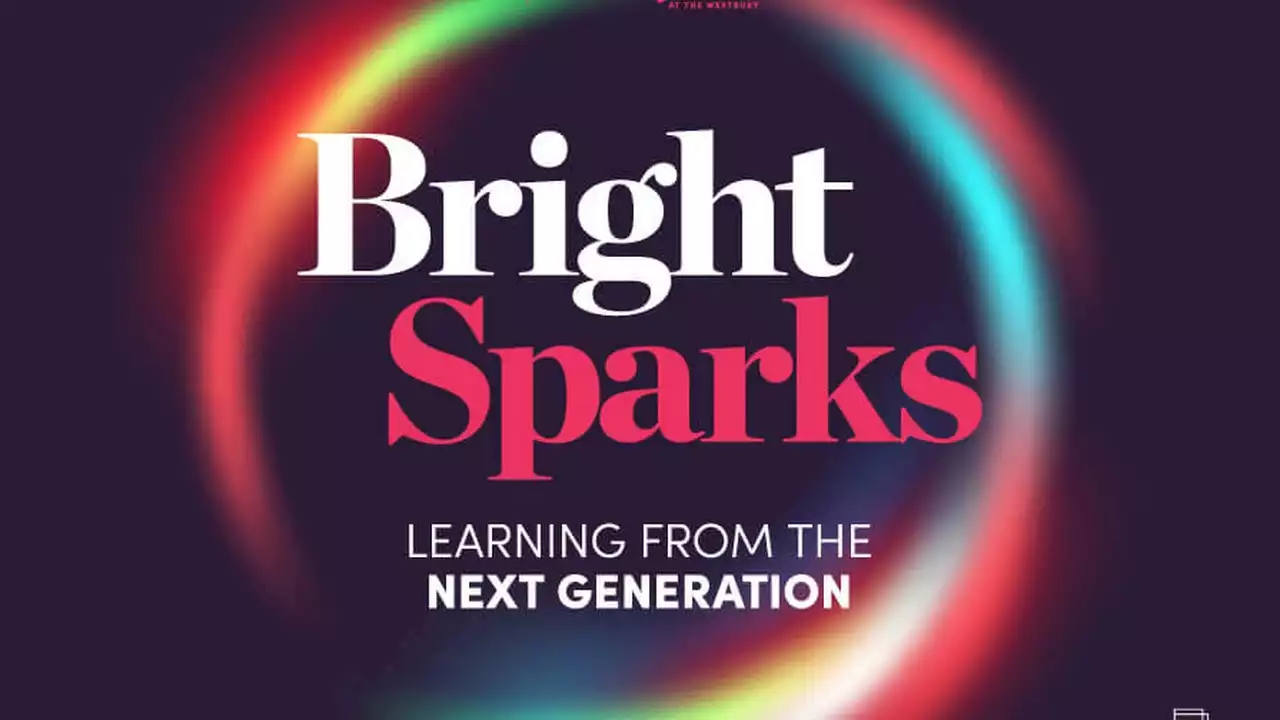 NETWORKING EVENT: 'Bright Sparks': Learning from the next generation