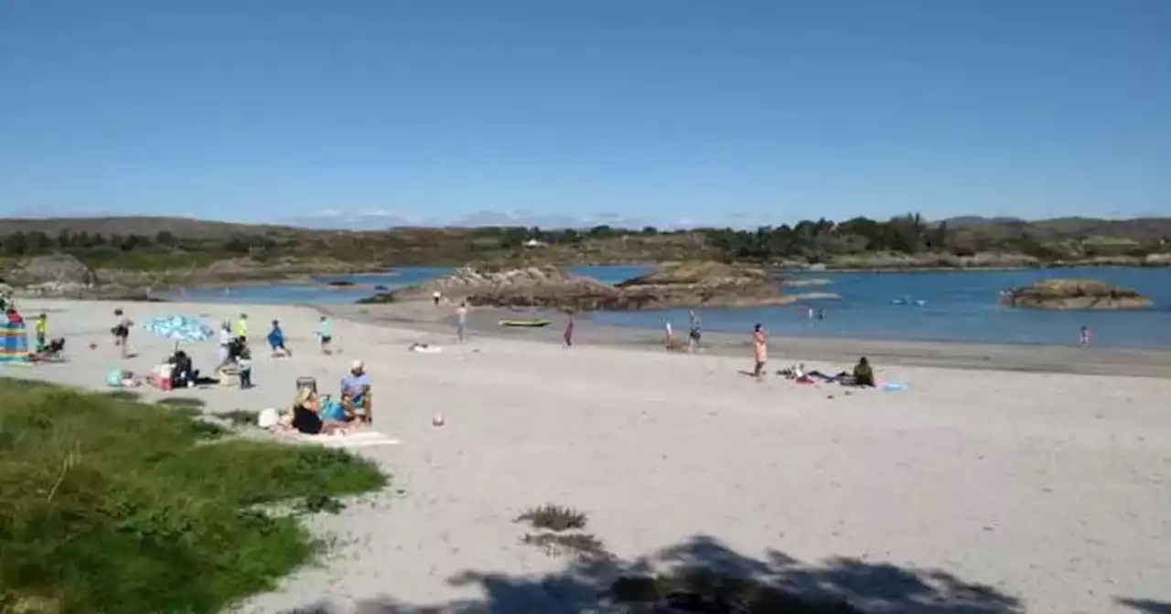 'Rodent infestation' forces emergency closure of popular Cork beach