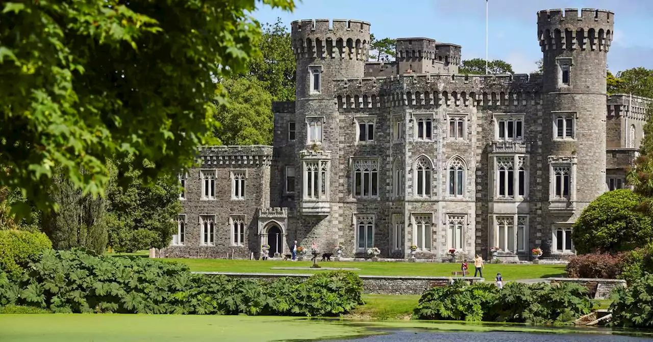 ‘We’re discovering secrets all the time’: Hidden room found in 800-year-old Co Wexford castle