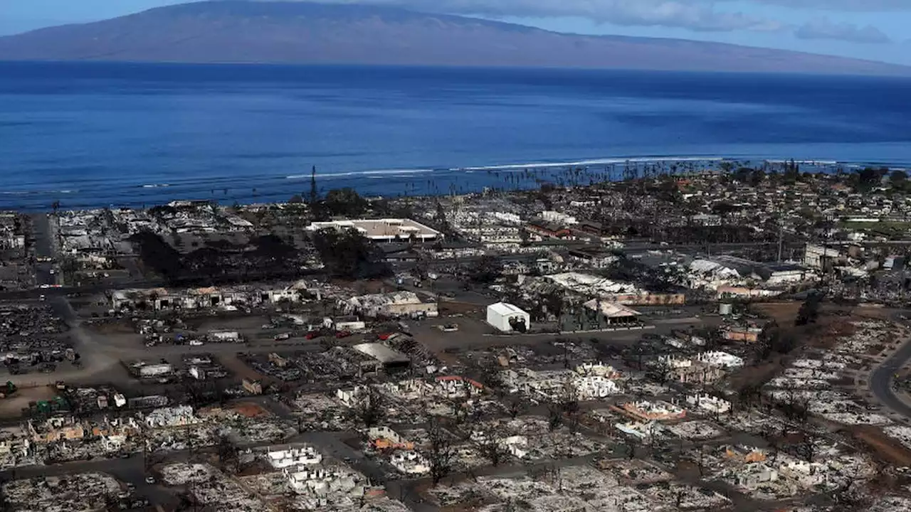 Hawaii wildfires: Death toll rises to 101; Biden will visit area