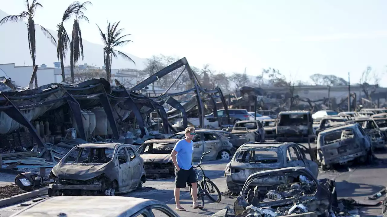 Videos put scrutiny on downed power lines as possible cause of deadly Maui wildfires