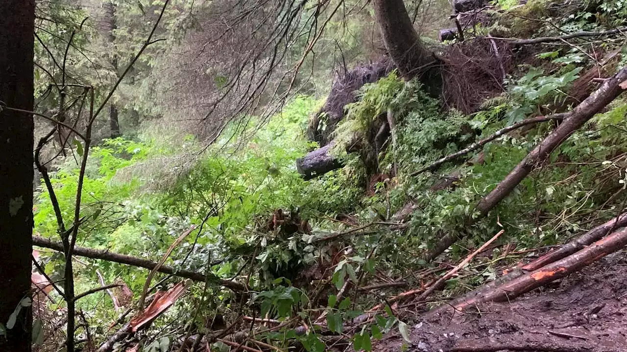 Small landslide on Starr Hill prompts evacuations, warning from city officials