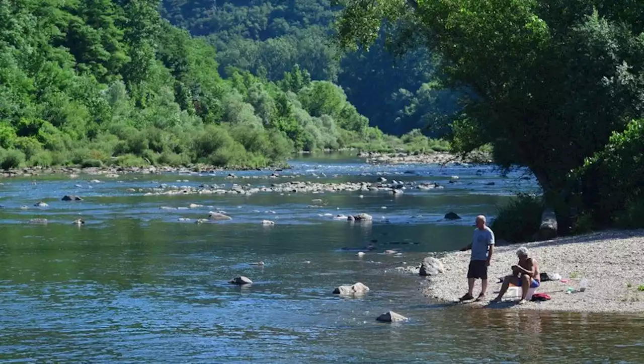 Cyanobactéries dans la rivière Tarn : la Préfecture atteste leur présence dans différentes zones interdites à la baignade