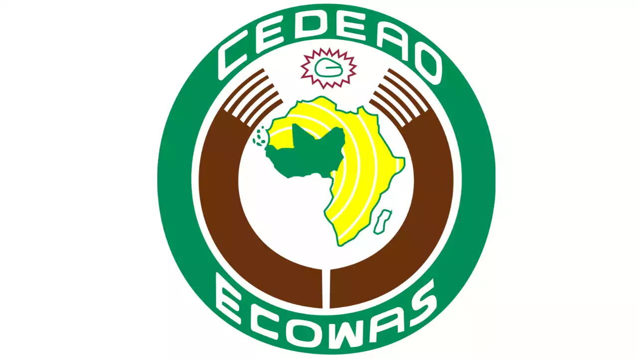 You Can’t Restore Genuine Democracy In Niger With Military Force, CSO Tells ECOWAS