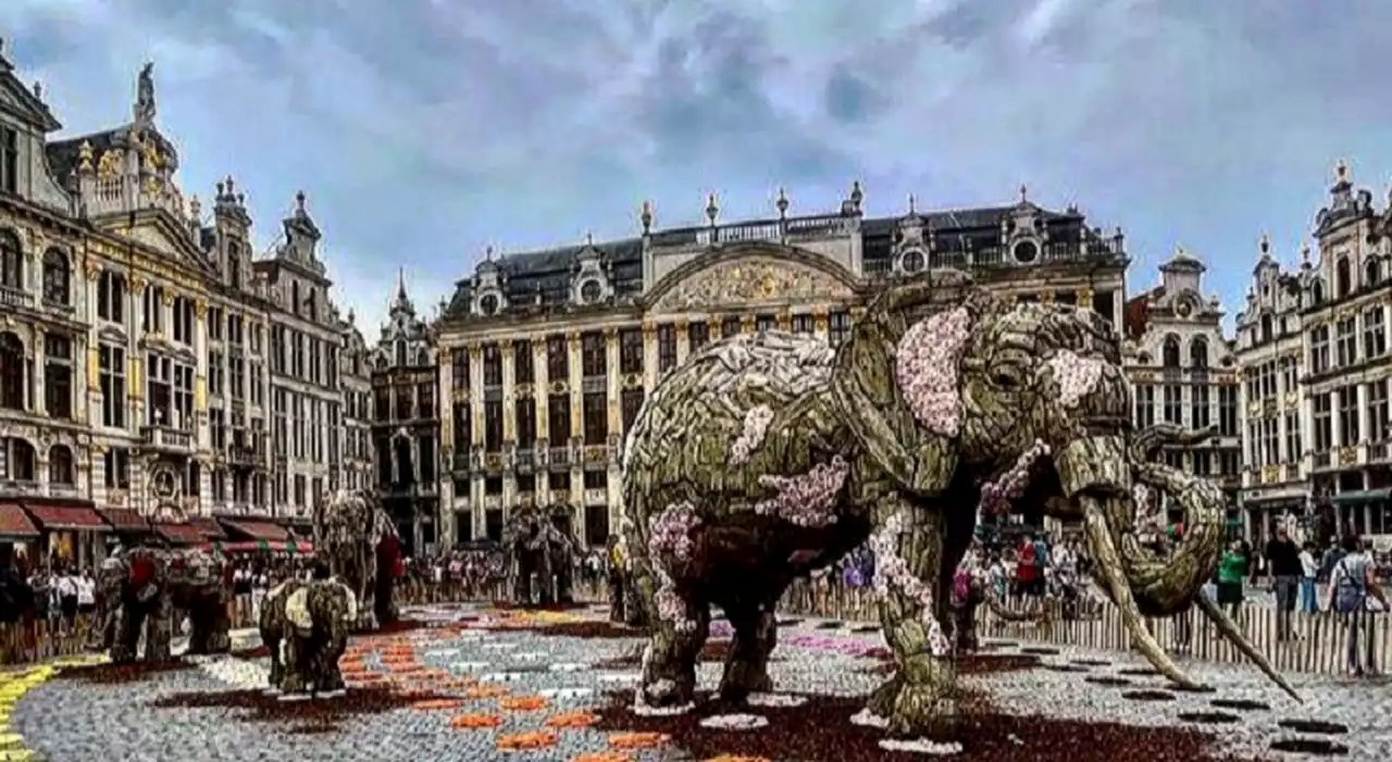 Bruxelles, un Ferragosto insolito tra arte floreale e architettura