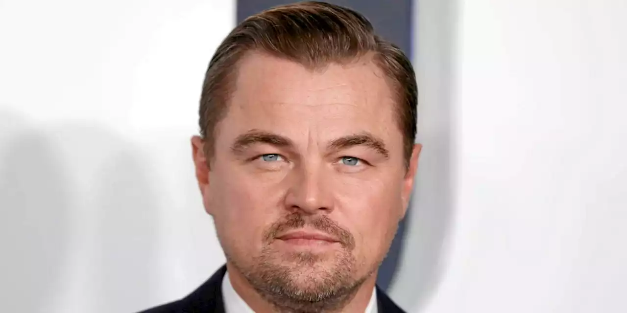 Australie : un homme condamné pour avoir envoyé ses excréments à Leonardo DiCaprio