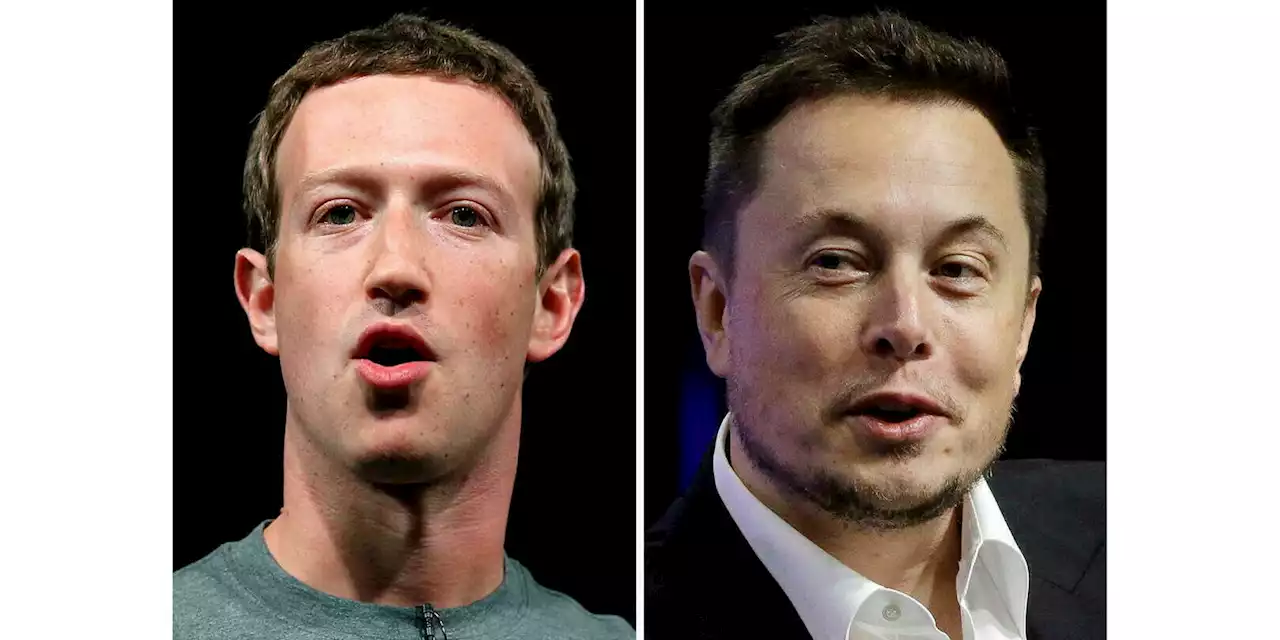 Musk vs Zuckerberg : ce qu’il faut savoir sur leur combat de MMA