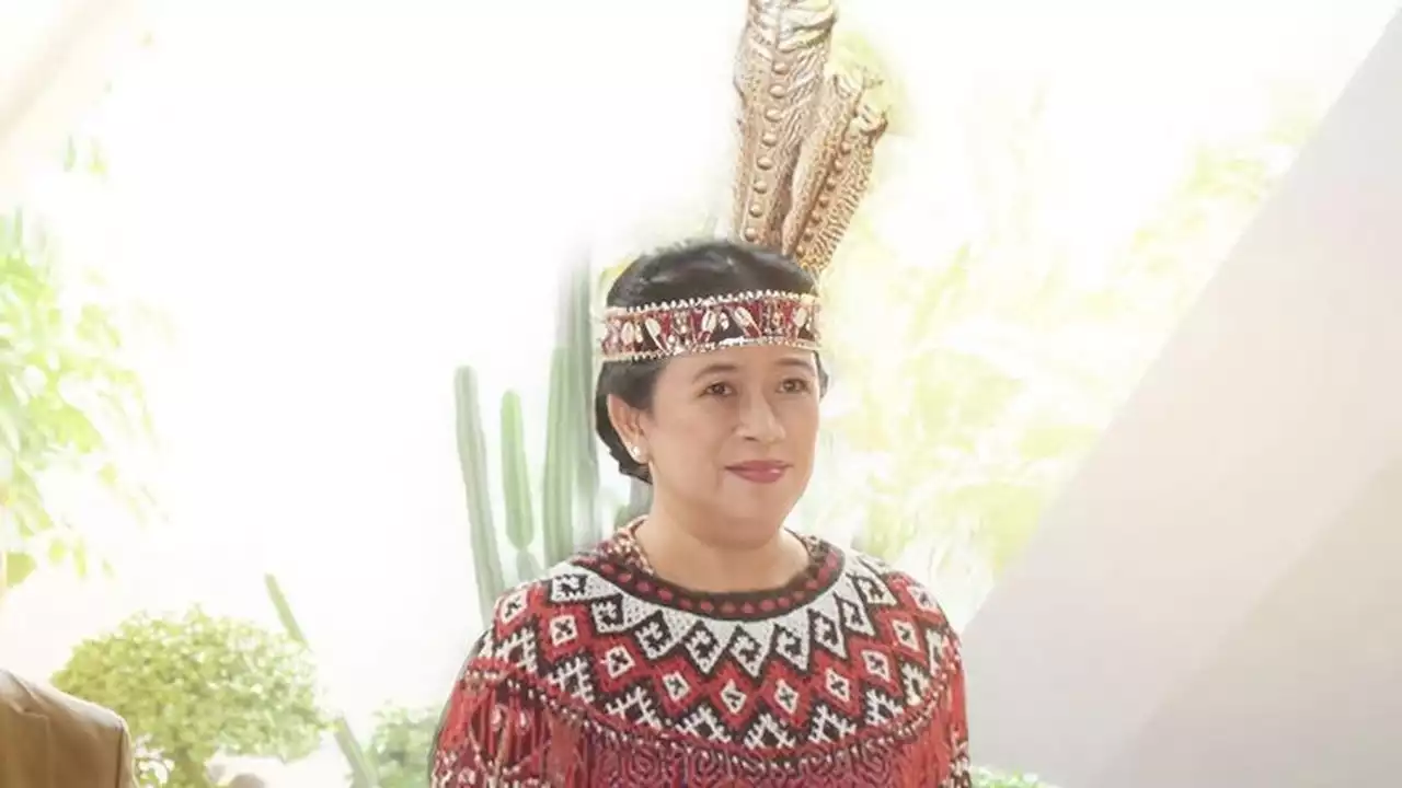 Baju Adat Dayak Ruit Besai Puan Maharani Jadi Sorotan, Motif Sakral yang Hanya Dipakai Tokoh Besar