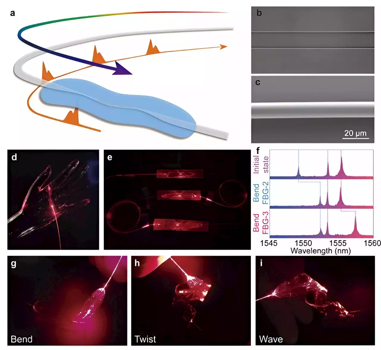 Research proposes photonic skin sensing network for cardiovascular health monitoring