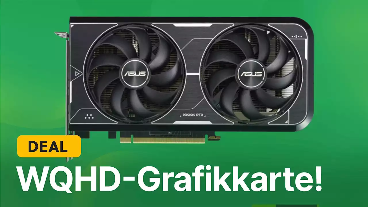 Günstig wie nie: Amazon verschleudert gerade eine beliebte WQHD-Grafikkarte von NVIDIA zum Schnäppchenpreis!