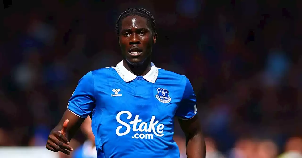 Everton place 'premium price tag' on Amadou Onana