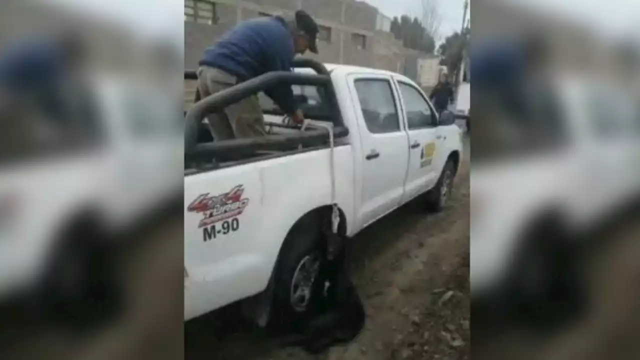 Video sensible: llevaban colgada de una camioneta a una perra y casi la matan