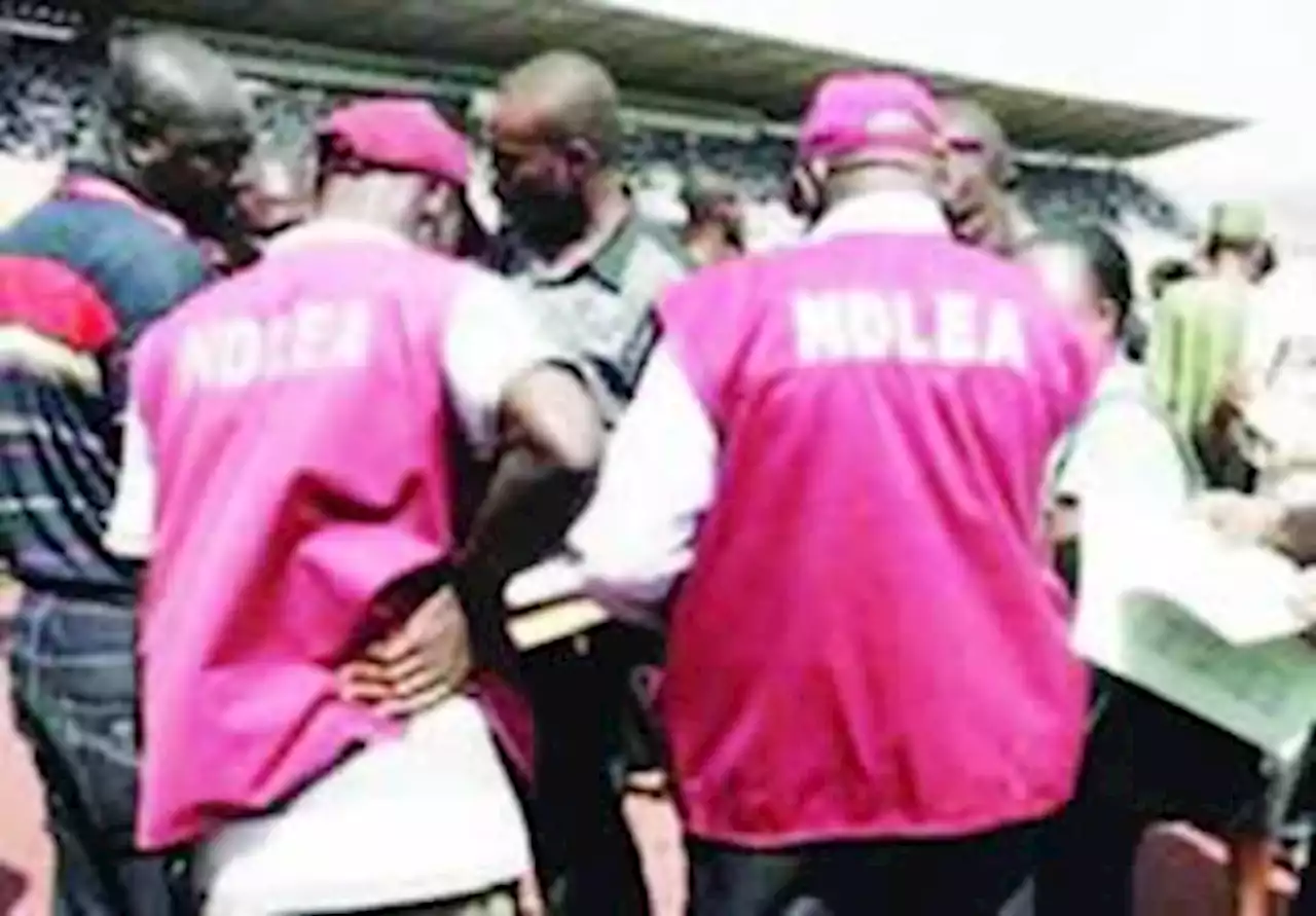 NDLEA seizes N56.9m worth of illicit drugs in FCT, arrests 343 suspects