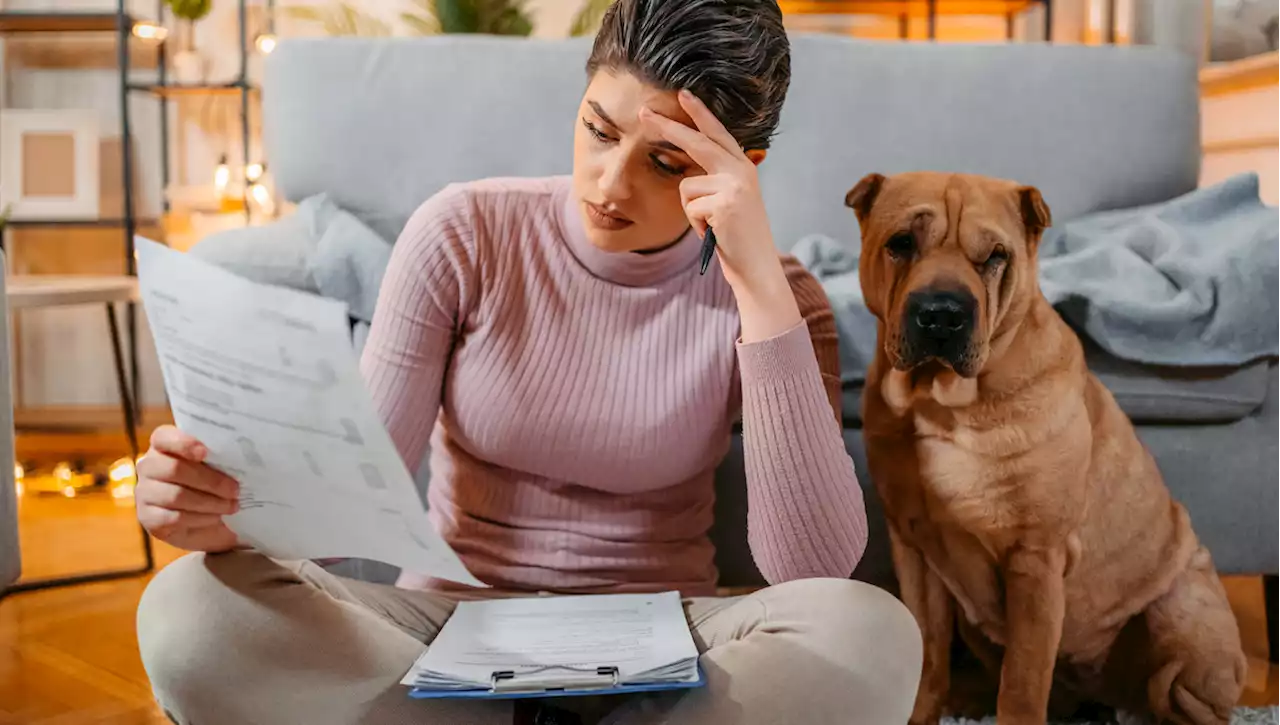 As pet insurance becomes more popular, pet owners fret about rising prices, denied claims and long waits for reimbursement