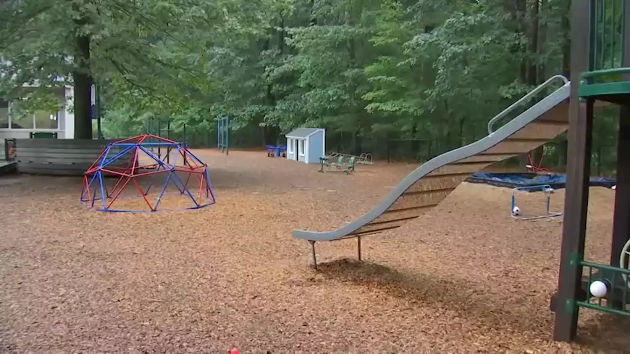 Swarming bees sting numerous kids dozens of times at Topsfield camp, 7-year-old boy hospitalized