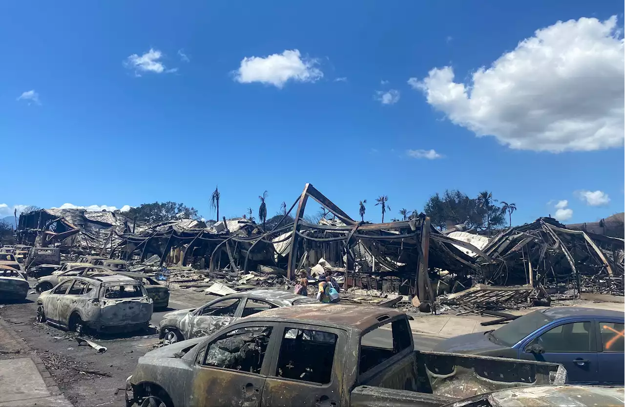 Hawaii video shows entire street destroyed by wildfire