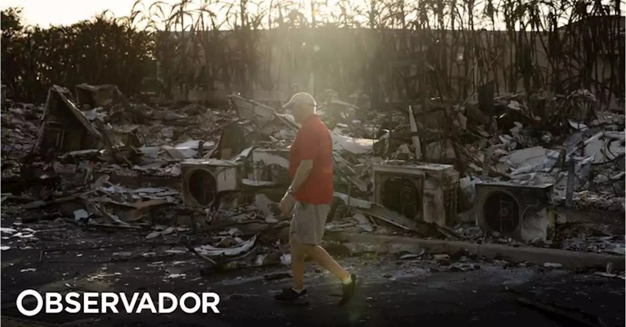 Autoridades antecipam aumento do número de vítimas dos incêndios no Havai. 'Devem encontrar entre 10 a 20 mortos por dia'