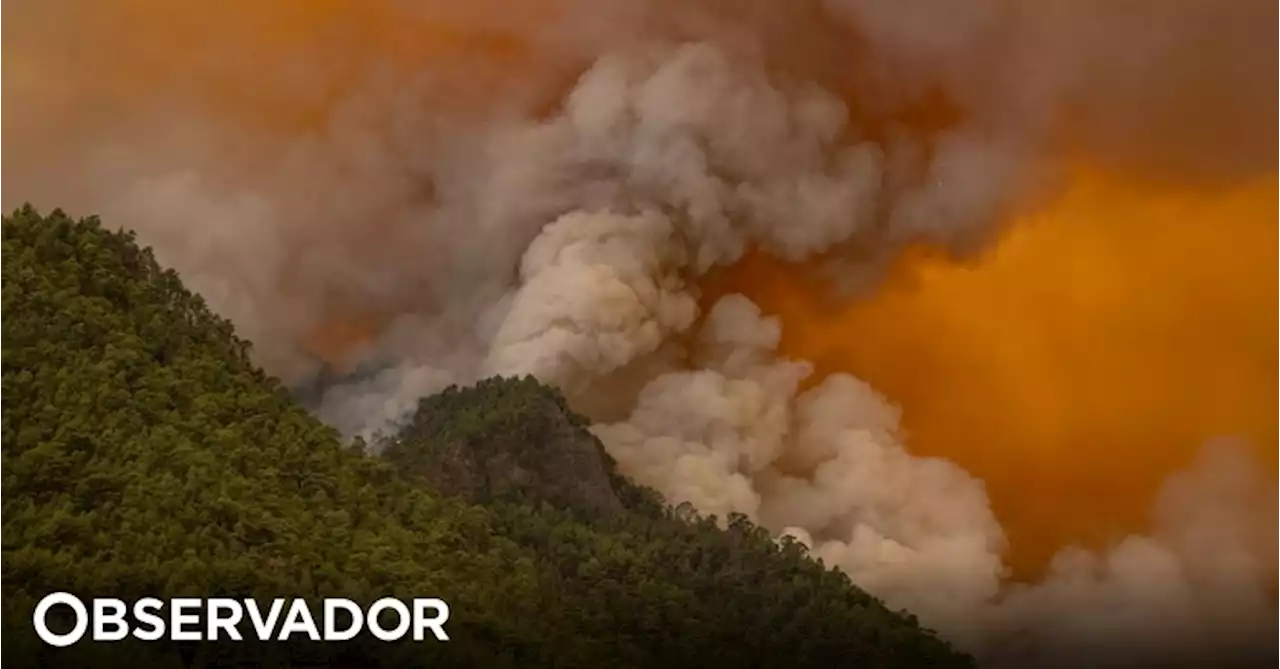 Incêndio em parque natural no Tenerife já devastou 800 hectares. Autoridades ordenaram a evacuação de cinco aldeias