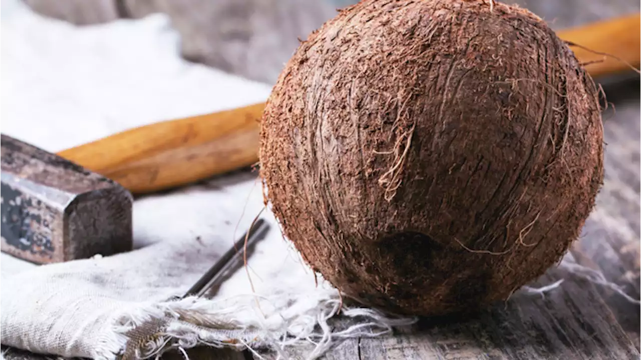 Cocco: proprietà e calorie dello 'spezzafame' da spiaggia