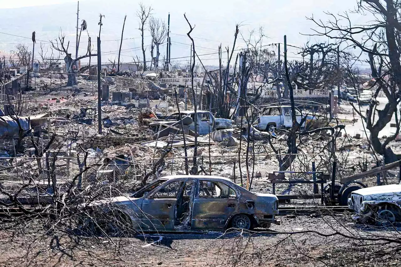 Hawaii Gov. Josh Green Confirms Death Toll Rose to 99, Predicts 'Numbers Will Go up Significantly'