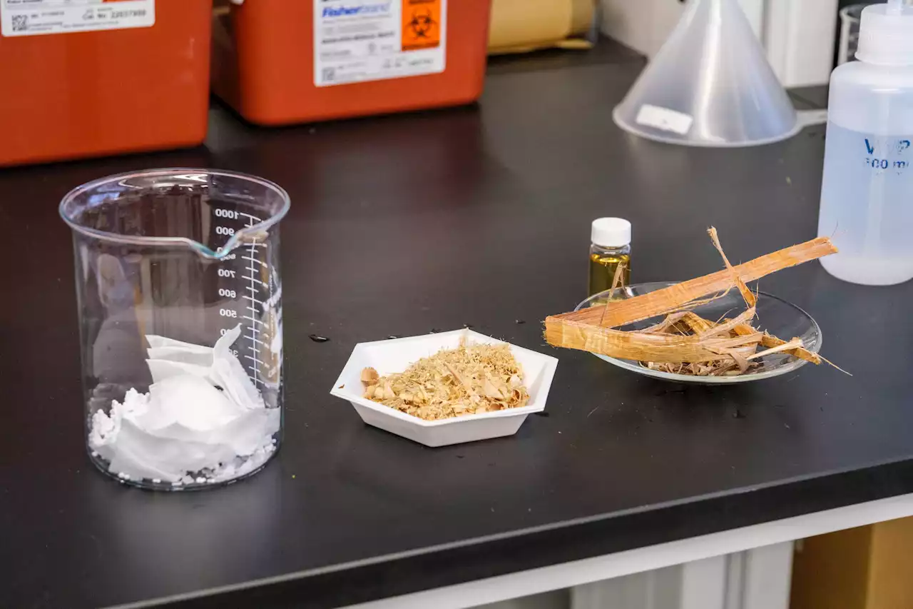 Microplastic pollution: New device uses wood dust to trap up to 99.9% of microplastics in water