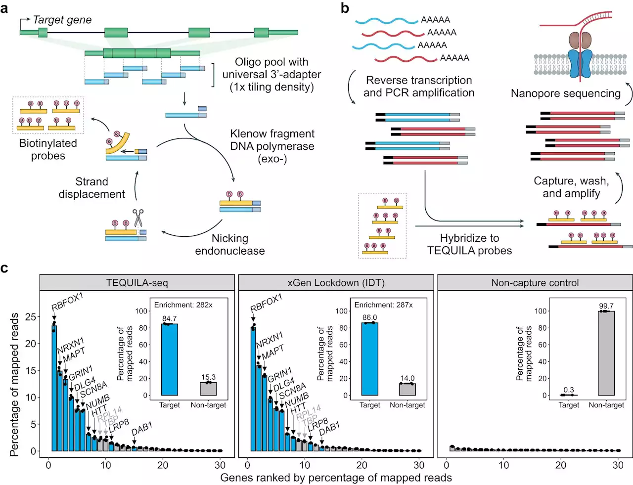 Researchers develop versatile and low-cost technology for targeted long-read RNA sequencing