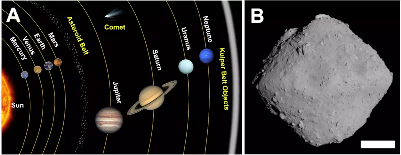 Ryugu asteroid origins in the solar nebula decoded by carbonates