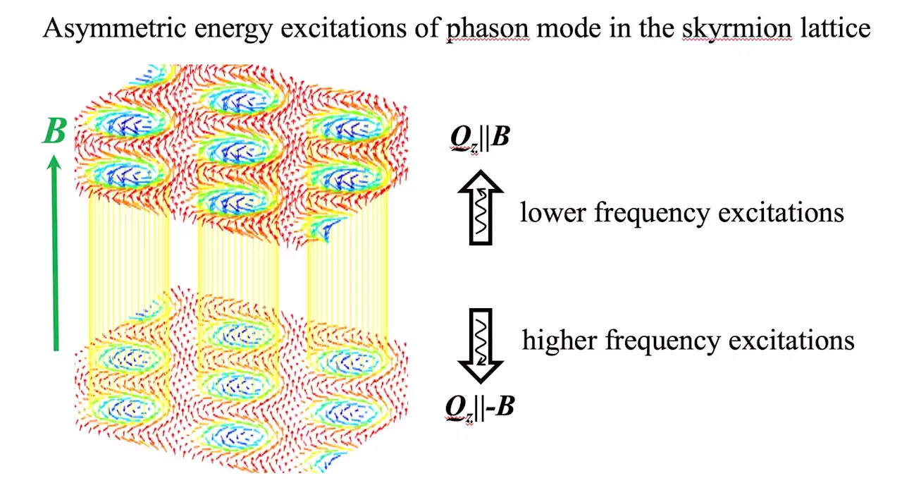 Study reveals an asymmetric dispersion of phason excitations in a skyrmion lattice